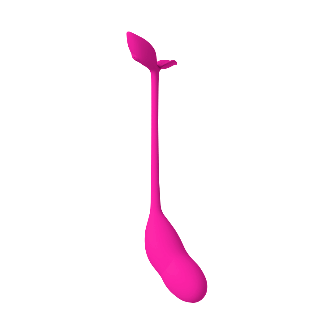 Huevo vibrador APP - Bud | L&H Trading