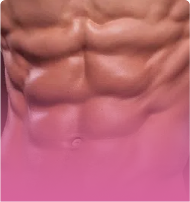 Torsos